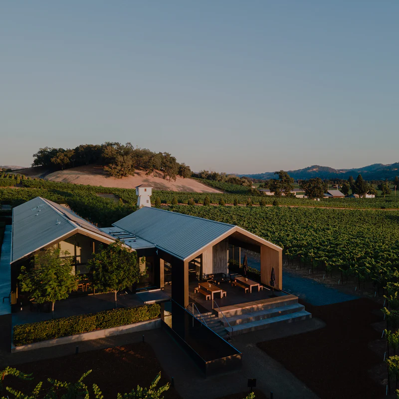 Fifty Years of Cabernet Excellence
